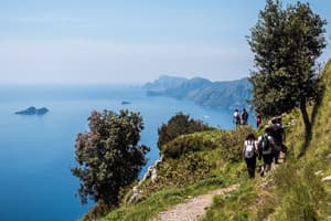 Group tours